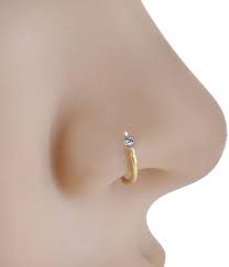 Trendy Nose Ring